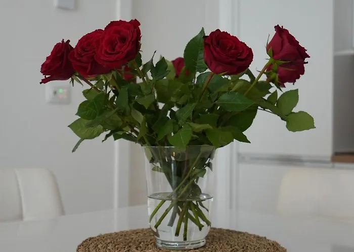 Apartment La Mia Casa Romana